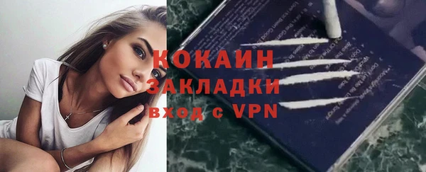 спиды Аша