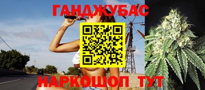 амф Бийск