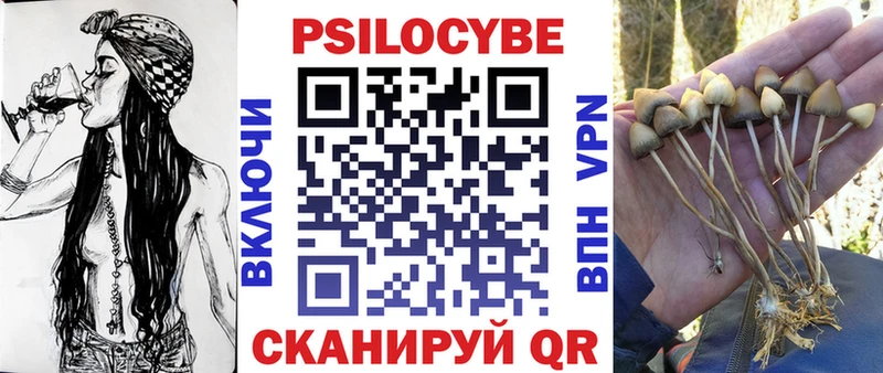 Псилоцибиновые грибы Psilocybine cubensis  Казань 
