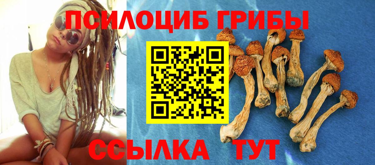 Галлюциногенные грибы Psilocybine cubensis  Казань 