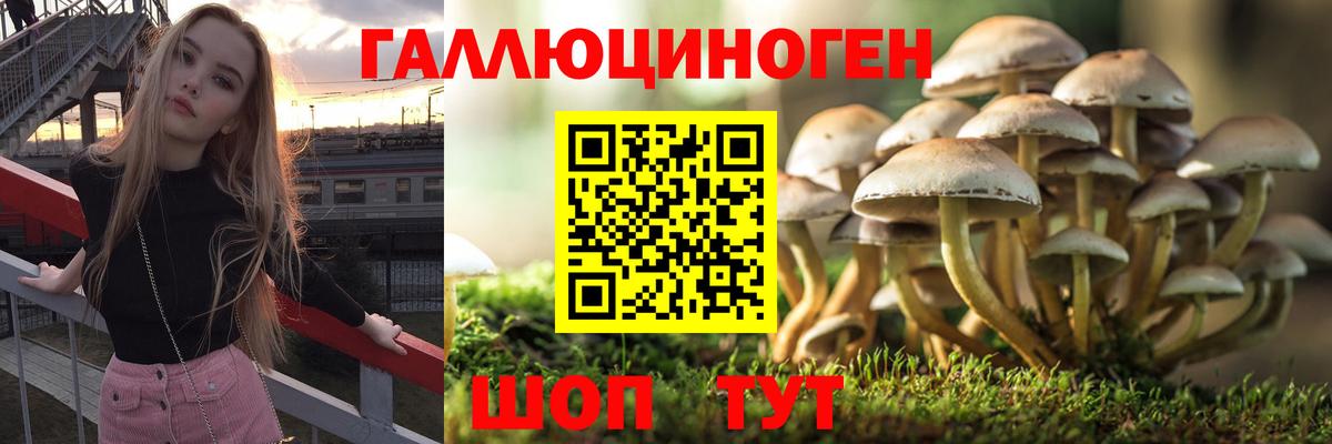 Галлюциногенные грибы MAGIC MUSHROOMS Казань